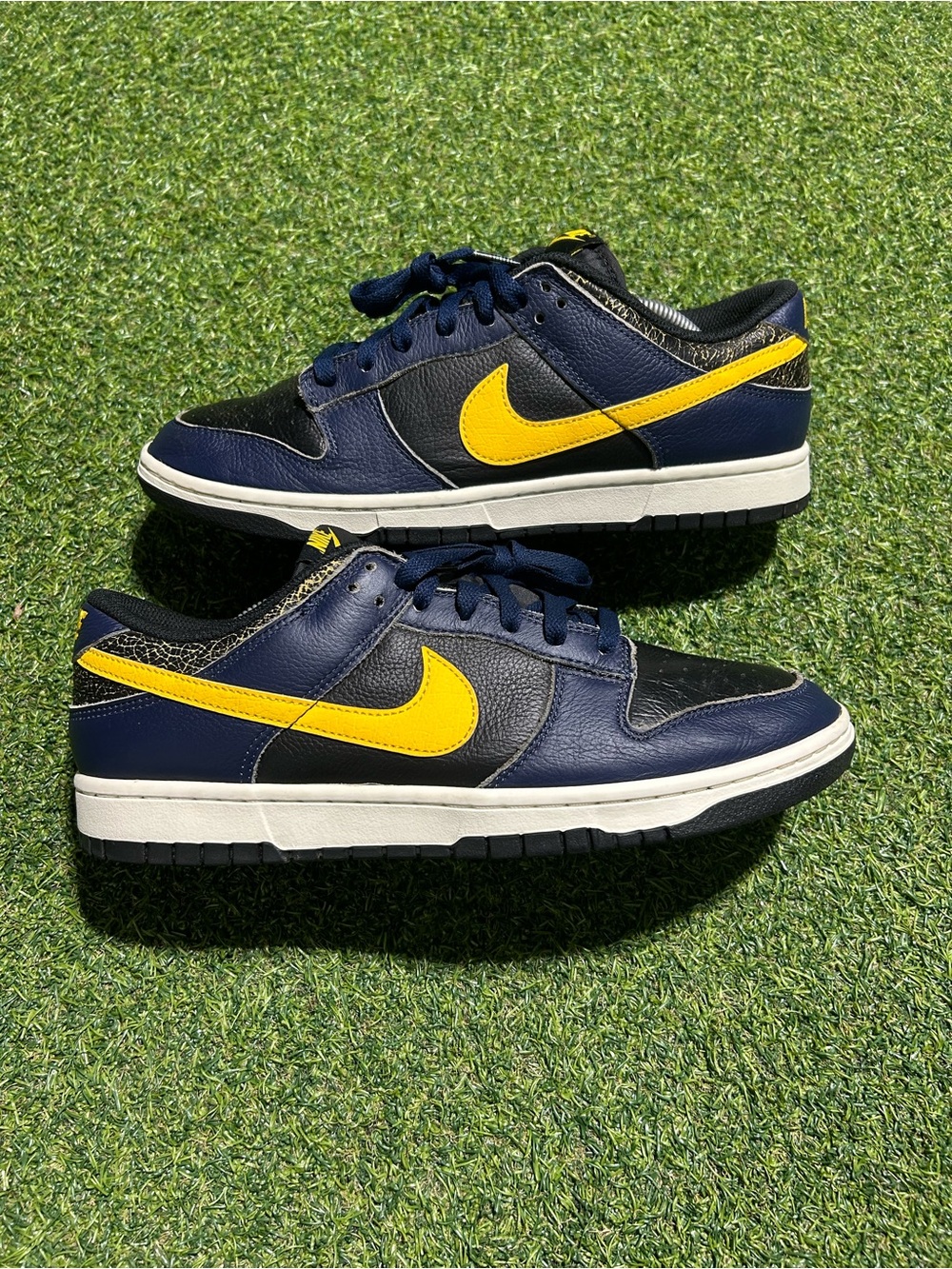 Men’s Nike Dunk Low